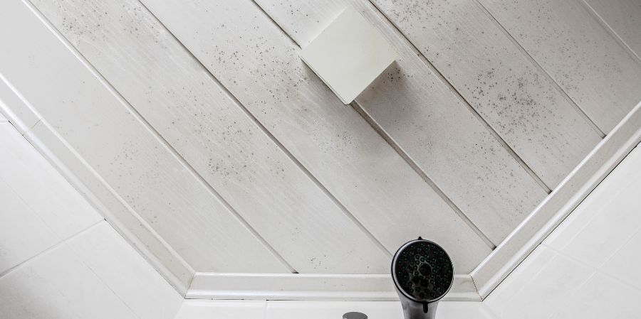 Mold on the ceiling of a shower